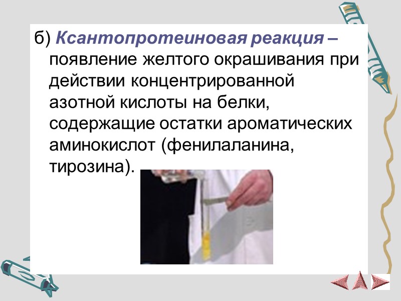 б) Ксантопротеиновая реакция – появление желтого окрашивания при действии концентрированной азотной кислоты на белки,